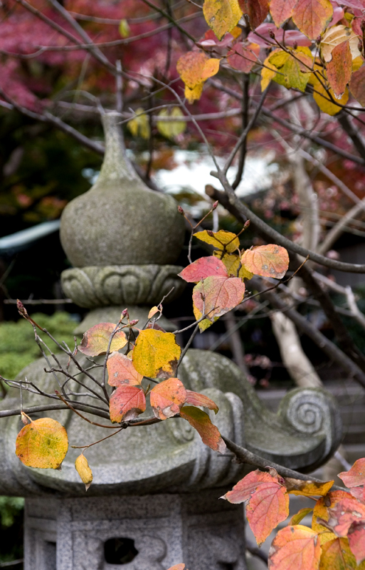 Memory of Kamakura