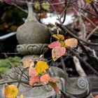 Memory of Kamakura