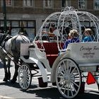 Memphis Carriage Tours......