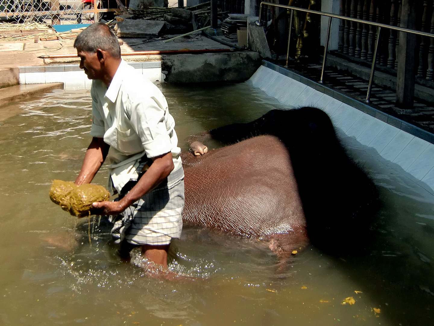 Men at work 100 - Animal keeper