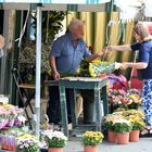 Men at work 16 - flower seller
