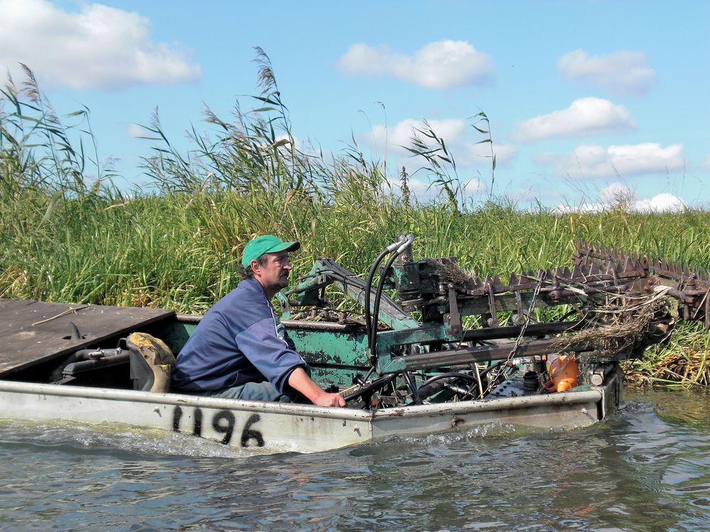 Men at work 46 - water reed cutter