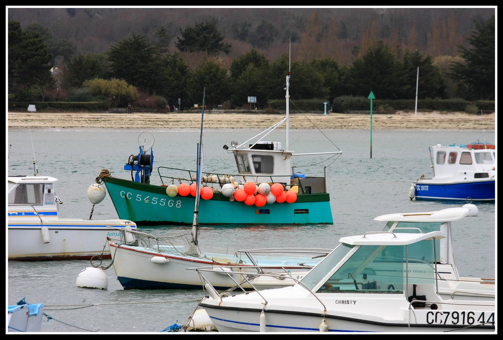 " M'en fout j'ai un bateau " Tamponneur "