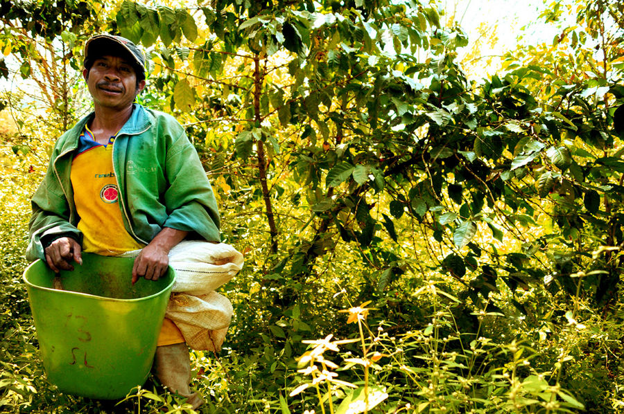 Men in green