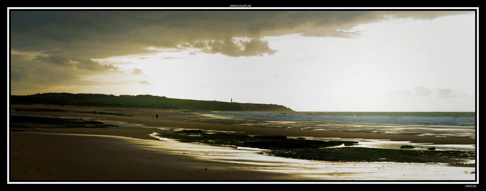 menace au gris nez ,