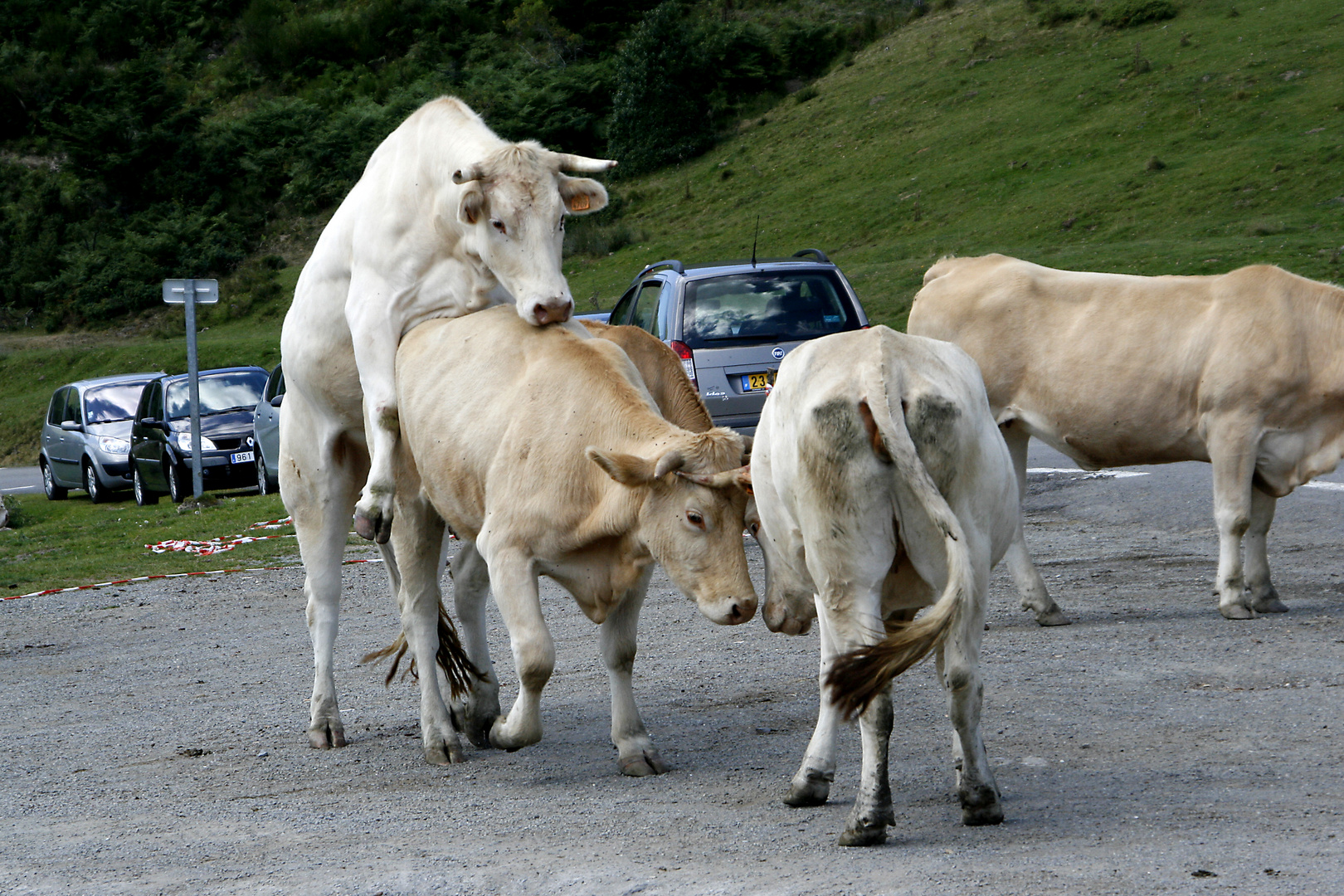 Menage à trois