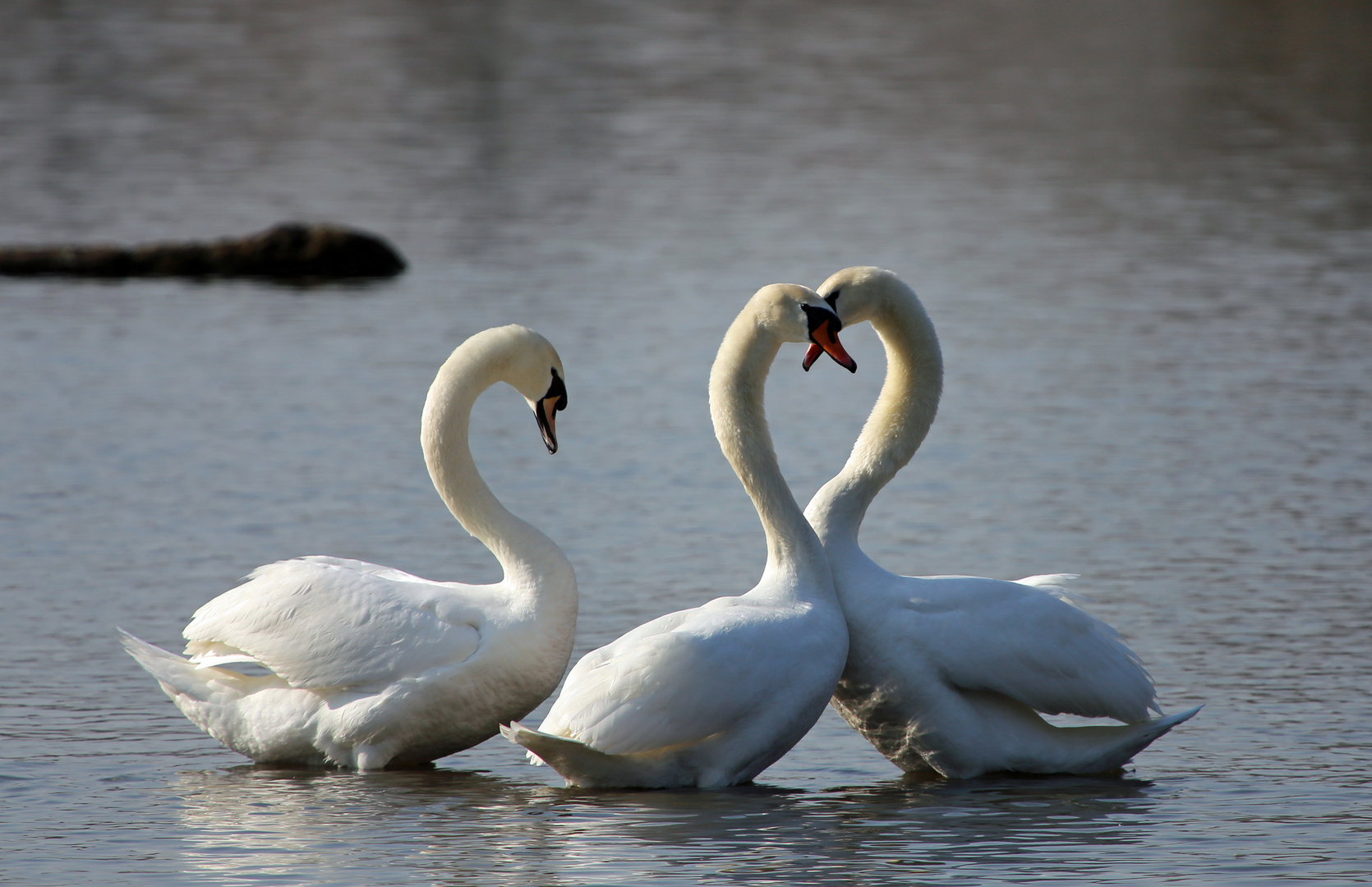 Ménage-à-trois