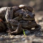 ménage à trois