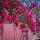 Menara Garden II - Marrakesch/Marokko