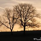 Menden Morgenzeit Himmel