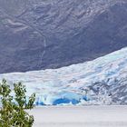 Mendenhall- der blaue Gletscher