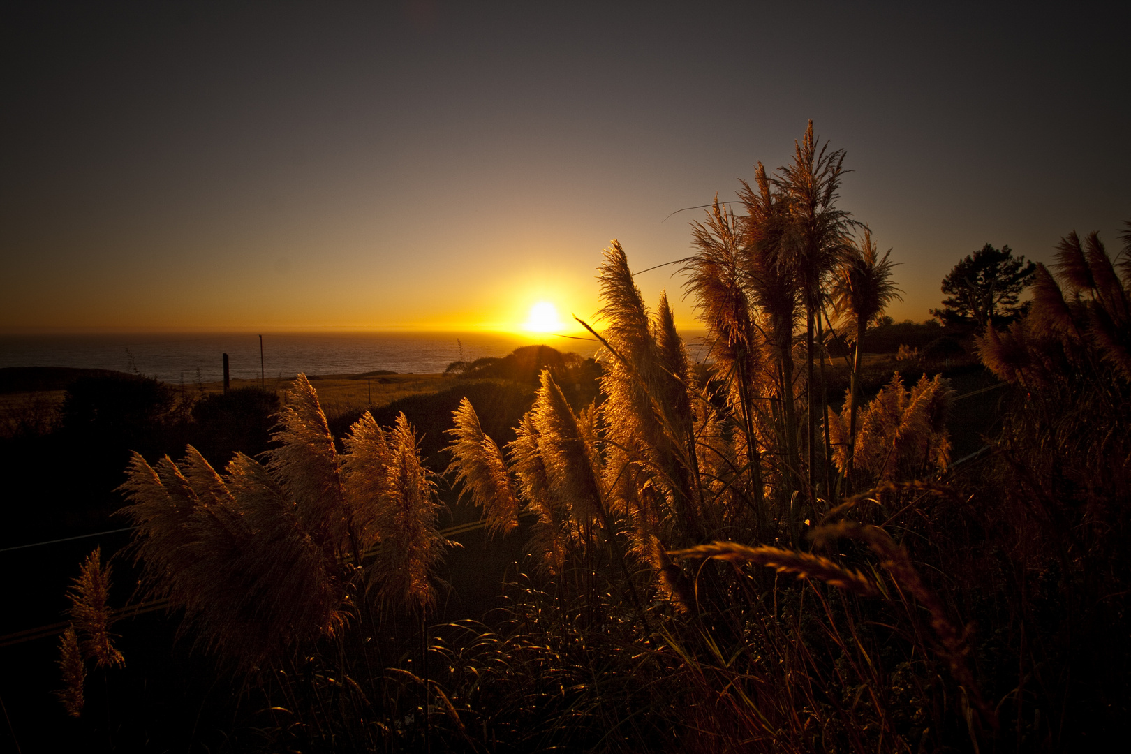 Mendocino says good night