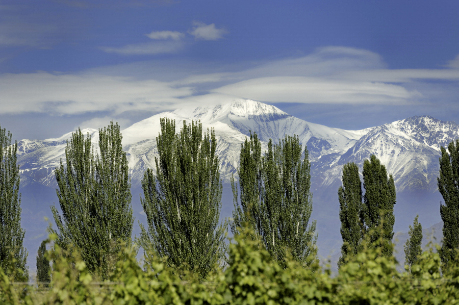 Mendoza