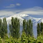 Mendoza