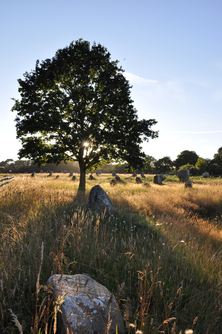 Menhir Carnac