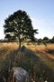 Menhir Carnac de edouard.n 