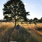 Menhir Carnac