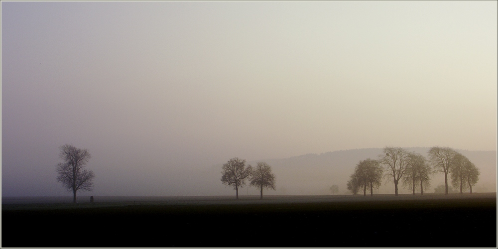 Menhir d'Oppagne