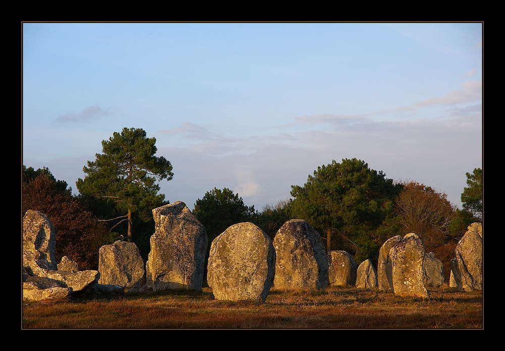 Menhir Feld bei Carnac