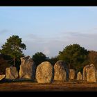 Menhir Feld bei Carnac