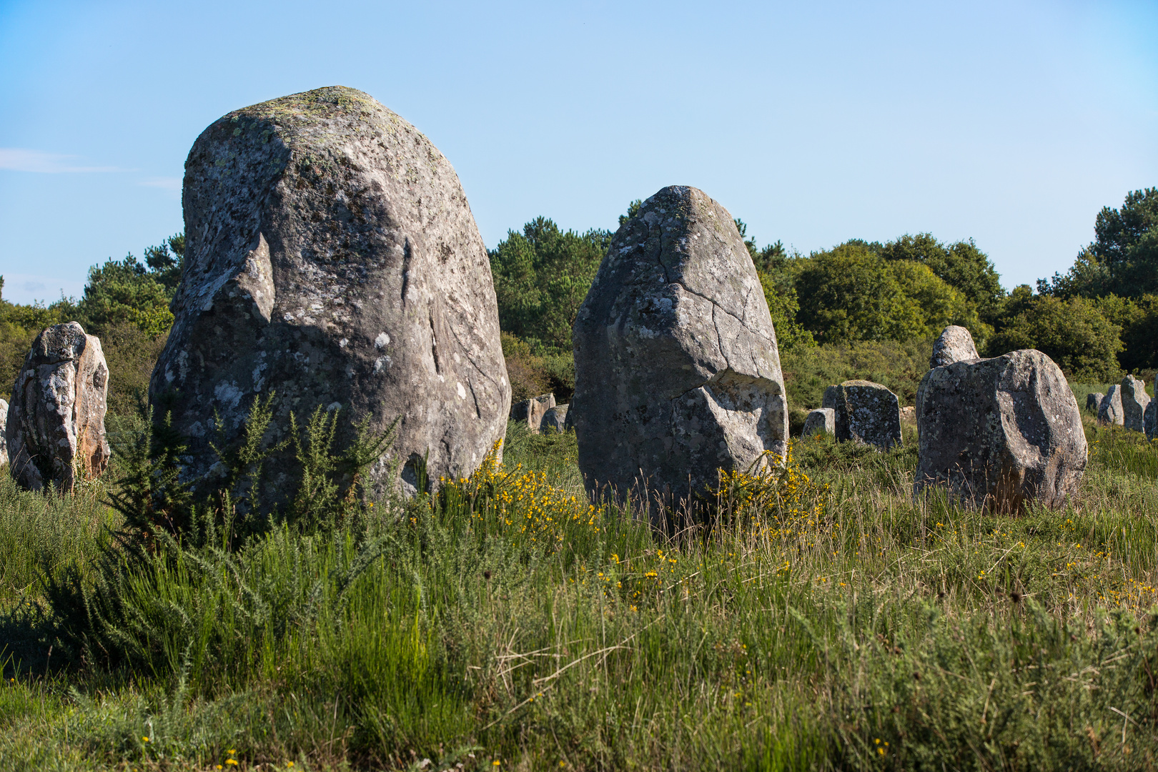 Menhir im Alignement duMénec