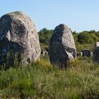 Menhir im Alignement duMénec