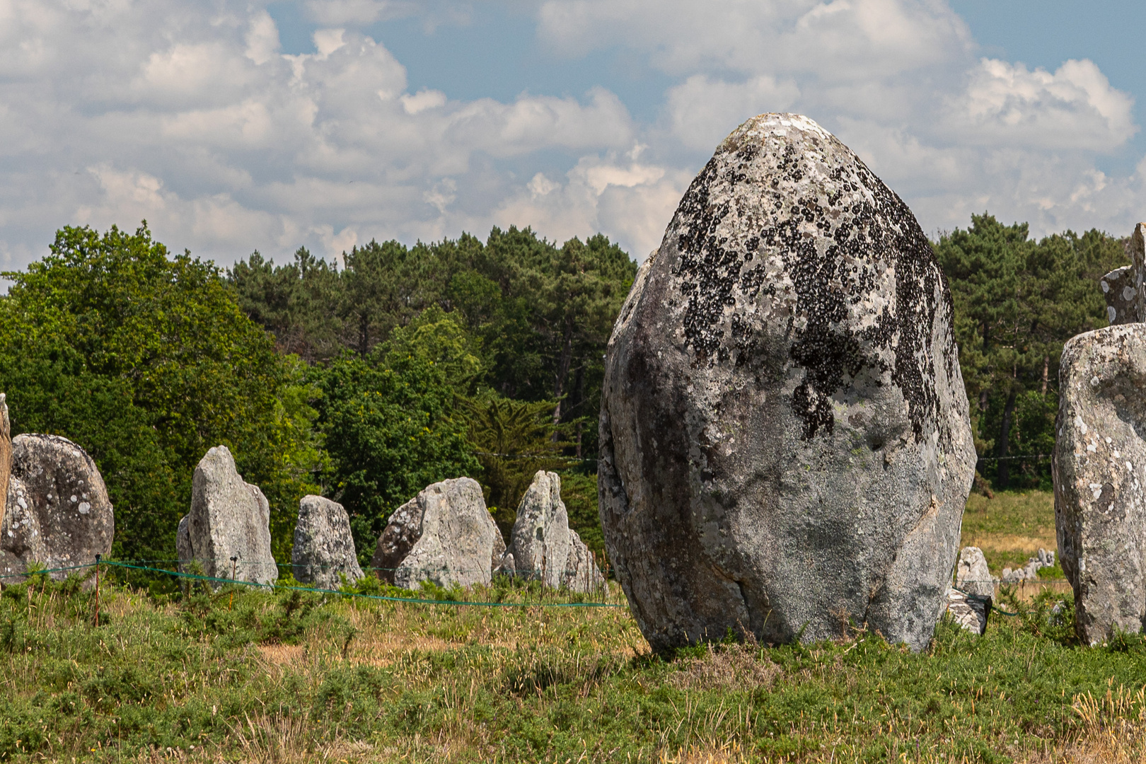 Menhir-Kopf (5)