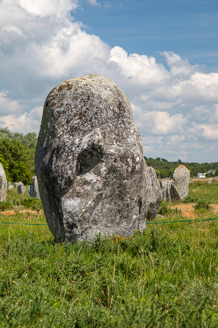 Menhir-Kopf (6)