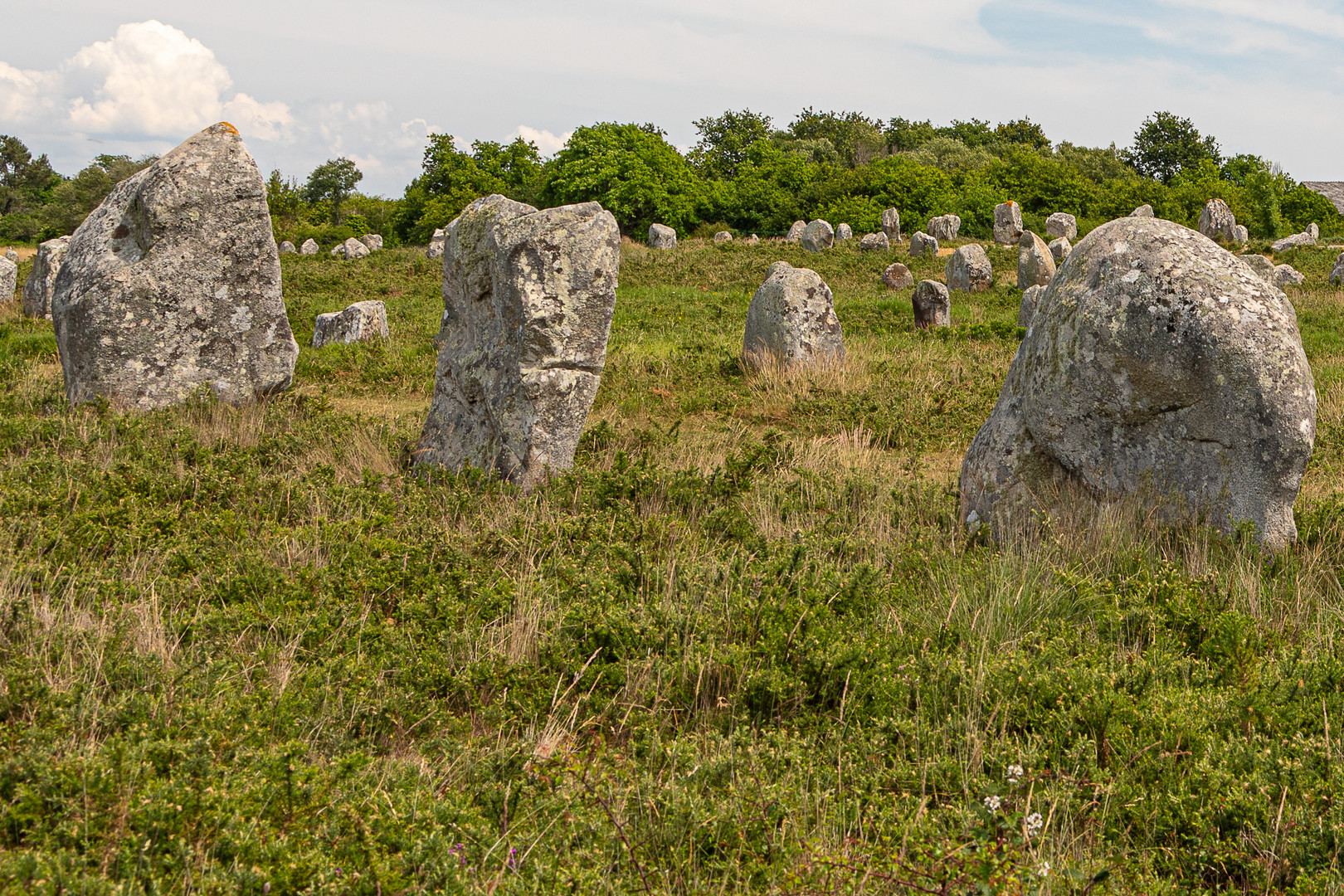 Menhir-Kopf (7)