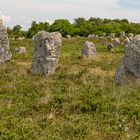 Menhir-Kopf (7)