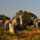 Menhir mit Gesicht (11)