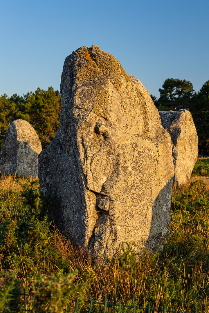 Menhir mit Gesicht (13)