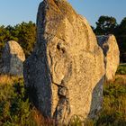 Menhir mit Gesicht (13)