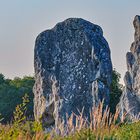 Menhir mit Gesicht (14)