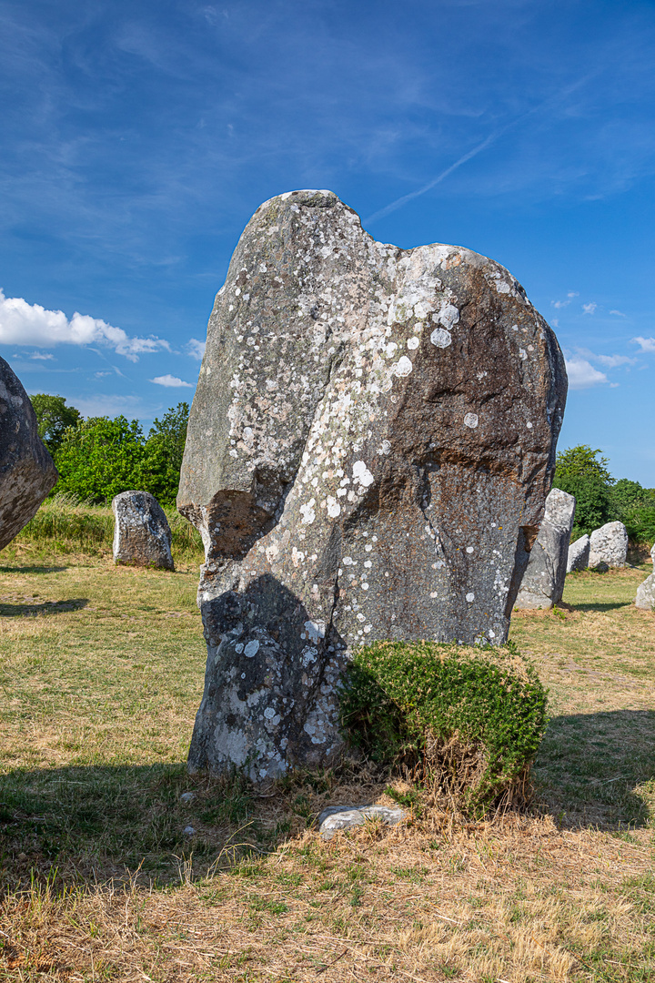 Menhir mit Gesicht (8)