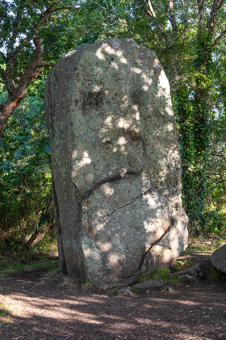 Menhir mit Gesicht