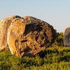 Menhir mit Gesichtern (10)