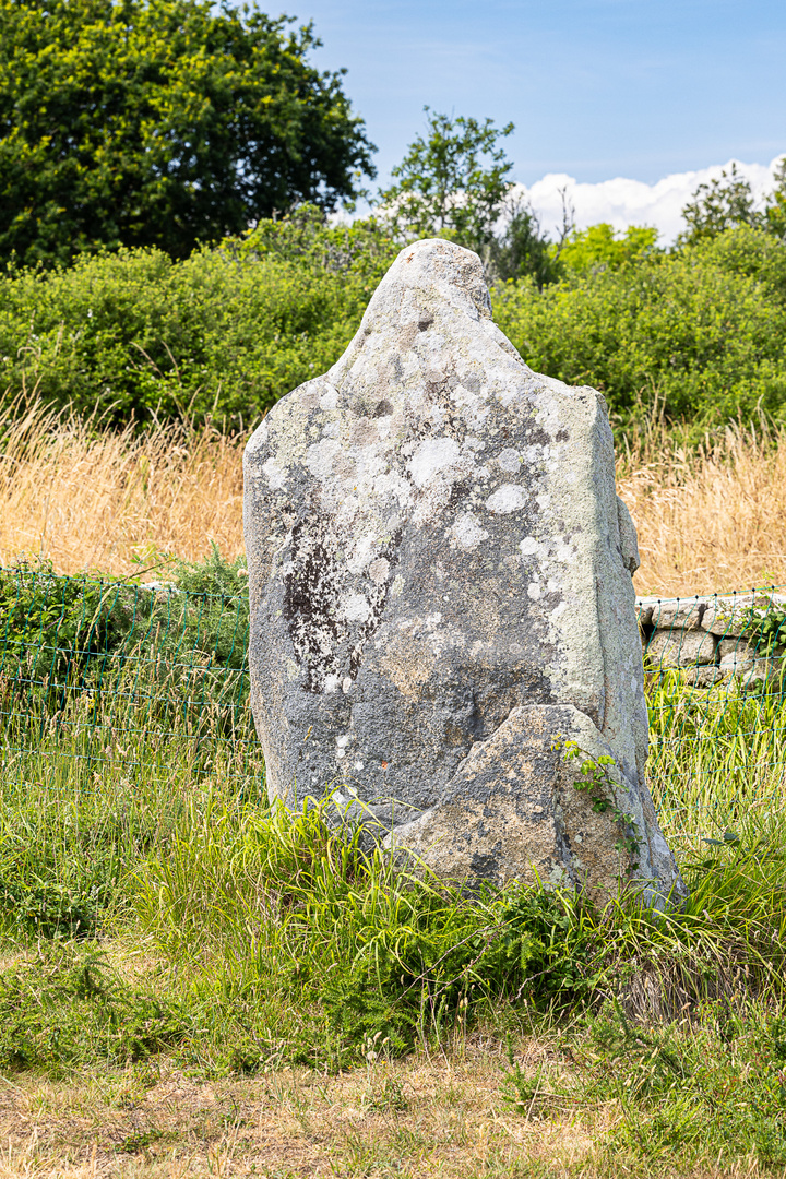 Menhir mit Kopf (12)