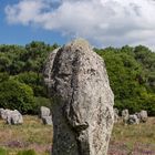 Menhir mit Schopf