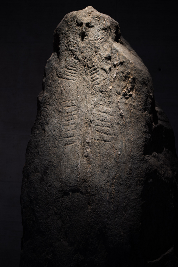 Menhir-Statue von Bevaix 