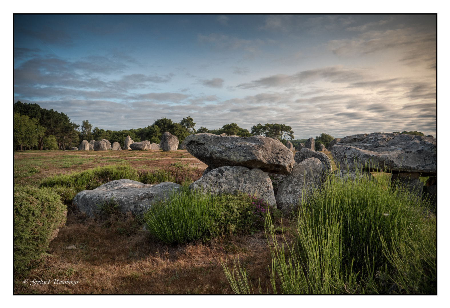 Menhire in Carnac