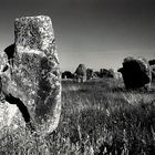 Menhirs