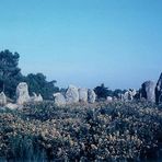 Menhirs de Carnac (2)