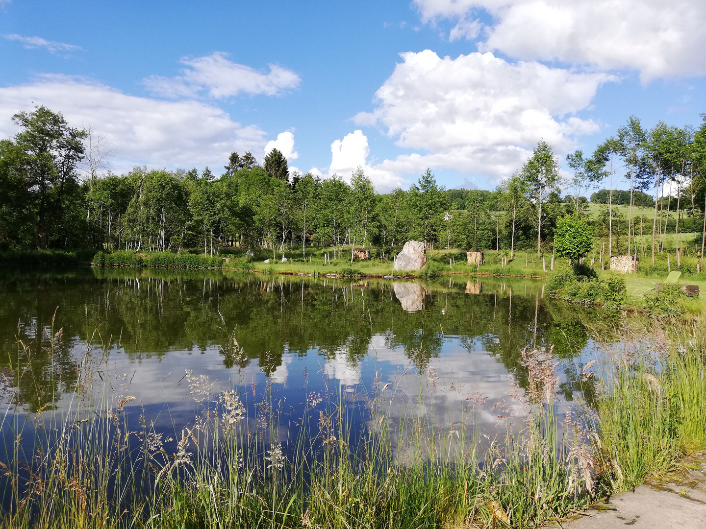 Menhirteich, mein Kraftort