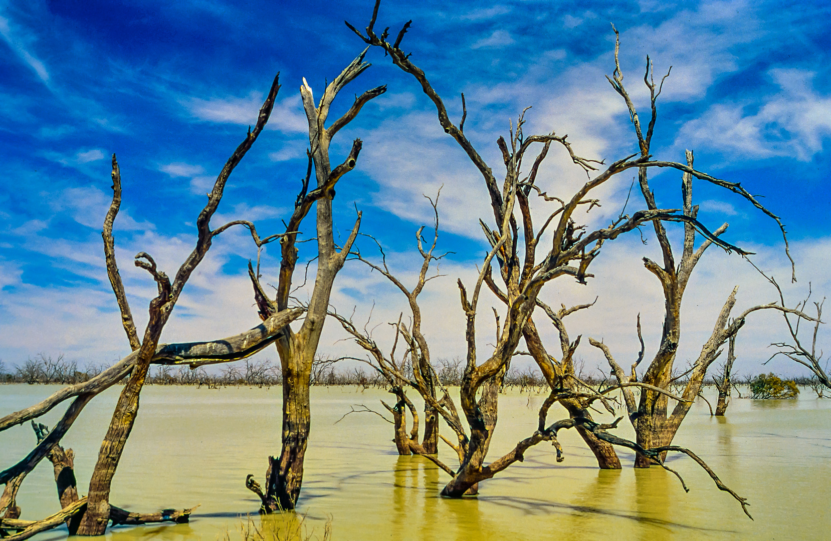 Menindee Lake