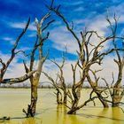 Menindee Lake