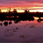 ** Menindee  Lakes / an invironmental Tragedy ** 