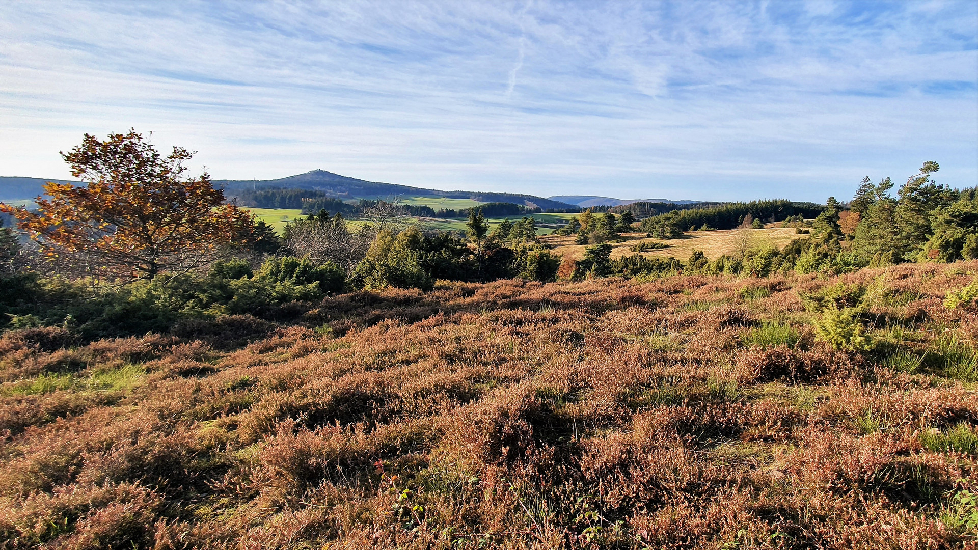 Menkepark mit Blick auf die Hohe Acht (Eifel)