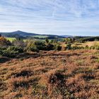 Menkepark mit Blick auf die Hohe Acht (Eifel)