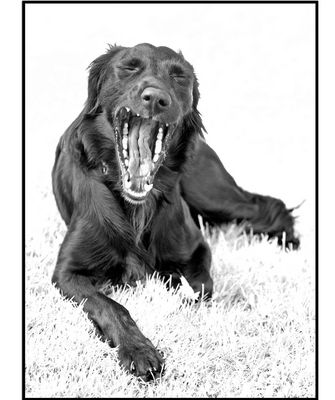 Menno - bin ich müde